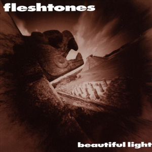 Take A Walk With The Fleshtones