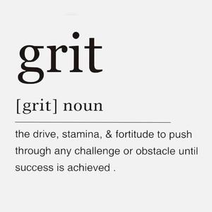 Grit Theory
