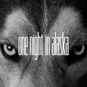 One Night in Alaska