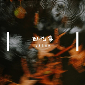 《流星海岸线》