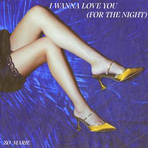 I Wanna Love You (For the Night)
