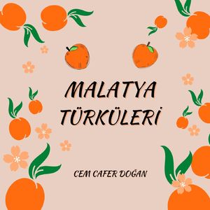 Gidem Dedim Suna Boylum