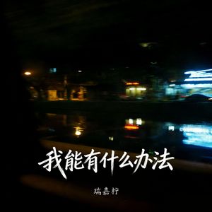 我能有什么办法