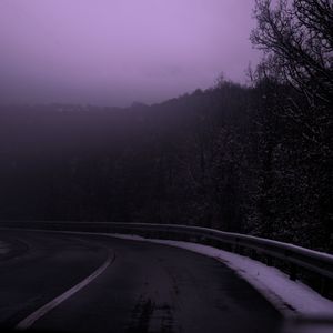 The Amazon Stream's Murmur- A Song of the Rainforest's Heart