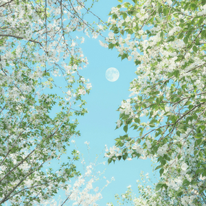잔잔한 노래 (바람의 언덕)