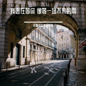 我还在等你 像等一场不来的雨