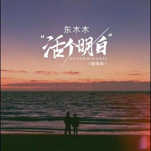 活个明白 (cover r&b song)