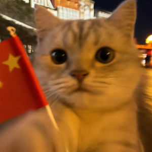 月光下枕藏的思念.wav