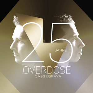 Overdose (Niklas Ibach Remix)
