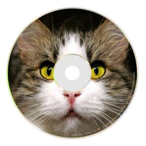 Kindmusic0 (Original mix)