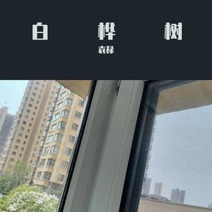 袁禄 - 你牛什么牛 (DJ快板音乐版)