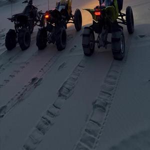 Juguetes Son Realidad