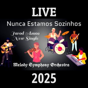 Nunca Estamos Sozinhos