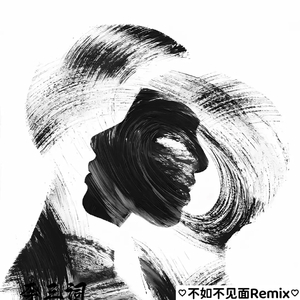 不如不见面（李三词 remix）