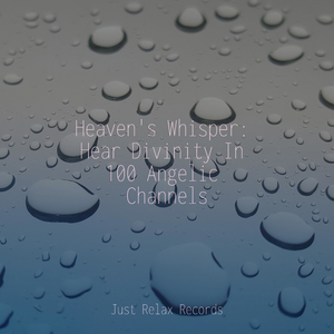 Enchanted Flight Plan