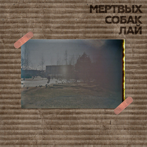 Фальшь