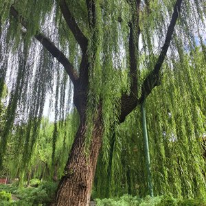 代表就是你_QQ浏览器转格式