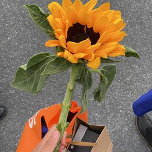 零几年听得情歌