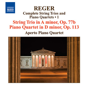 String Trio in A Minor, Op. 77b:I. Sostenuto - Allegro agitato