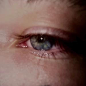 mind of a fence sitter