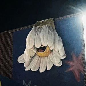 爱不会发生在我身上