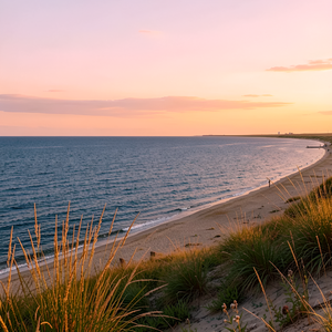 Край мой южный