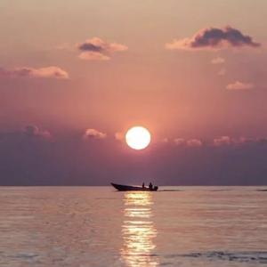 片片相思赋予谁