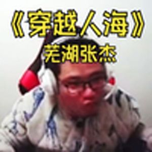 穿越人海(大司马)