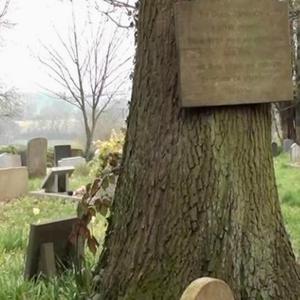 Time To Rise (Nick Drake Tribute)