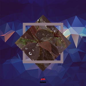 Capirinha (Original Mix)