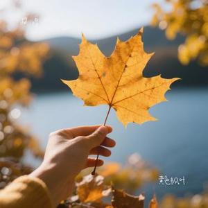 黄色枫叶 (Cover 薛之谦)