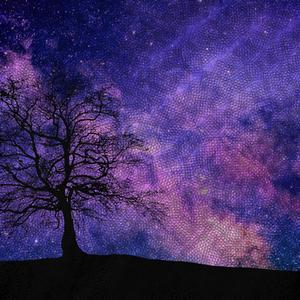 4096光年先の星へ