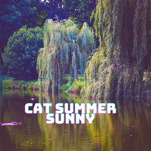 Cat Summer Sunny