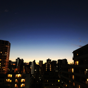 手を取り合えないなら