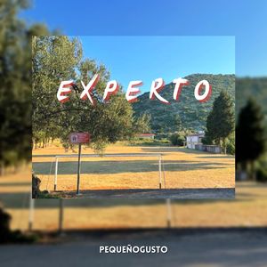 Experto