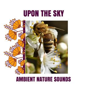 Peaceful Ocean Tides