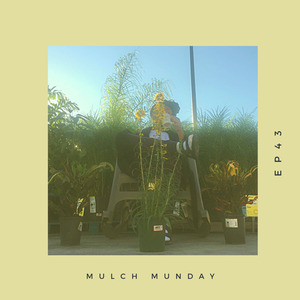 Rise & Shine (Mulch Ep. 43)