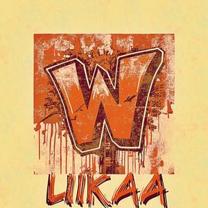 Liikaa