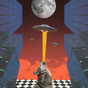 Sampai Gelap Mengepung