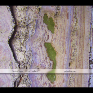 Entrance to the Unforeseeable