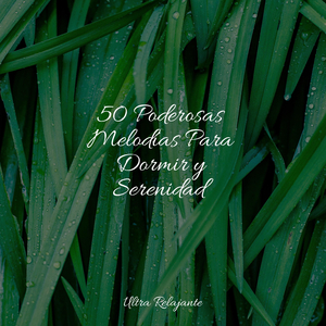 Salvación Sin Estrés