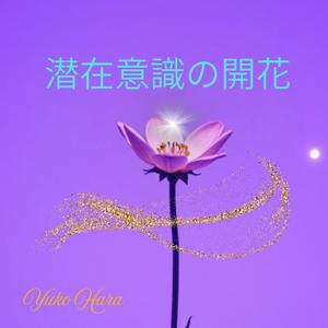 夜の花々