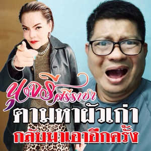 ตามหาผัวเก่ากลับมาเอาอีกครั้ง