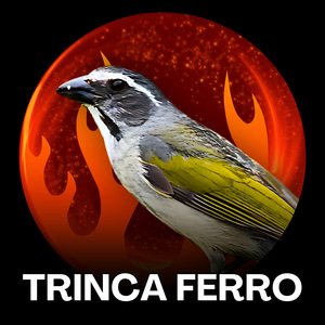 Trinca Ferro Aquece Voz