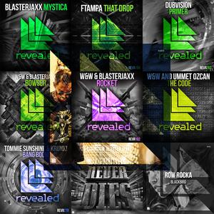 Revealed 2019 EDM Set(Continuous Mix)