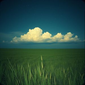 Талын Зүрх B