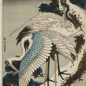 斋