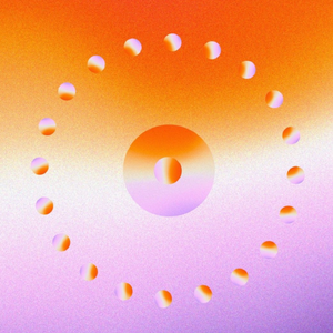 东北虎的丛林漫步