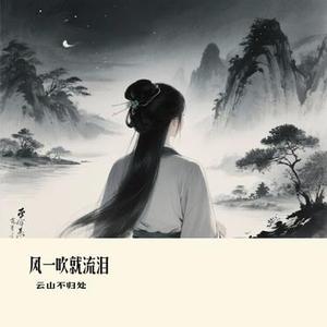 风一吹就流泪 (Cover 向思思)