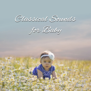 Cello Sonata No. 2 in G Minor, Op. 5 No. 2: III. Rondo